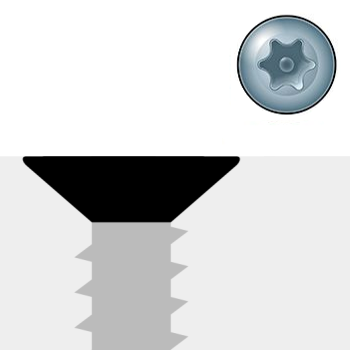 Image Flat head - Torx drive tamper-resistant screws